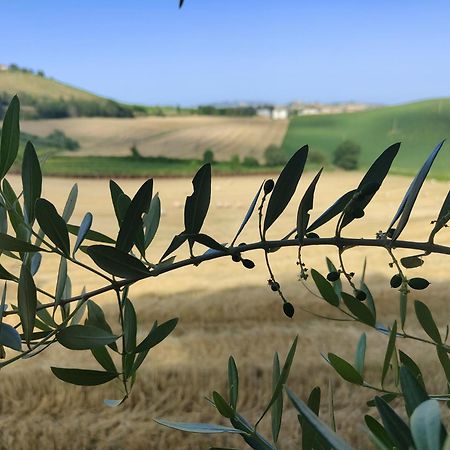 La Casa Del Duca Guest House Montalto delle Marche Exterior photo