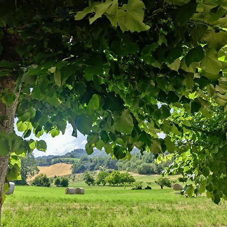 La Casa Del Duca Guest House Montalto delle Marche Exterior photo