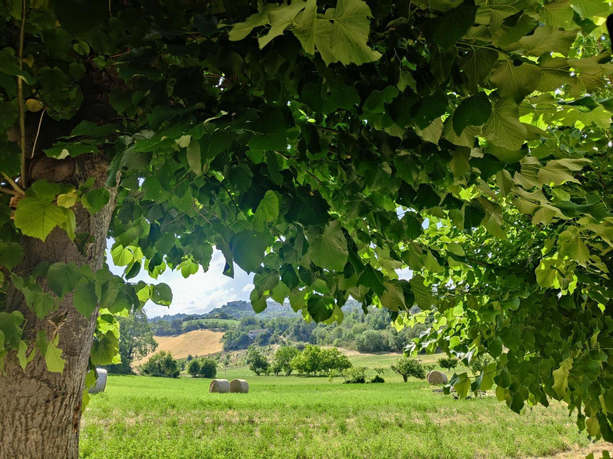 La Casa Del Duca Guest House Montalto delle Marche Exterior photo